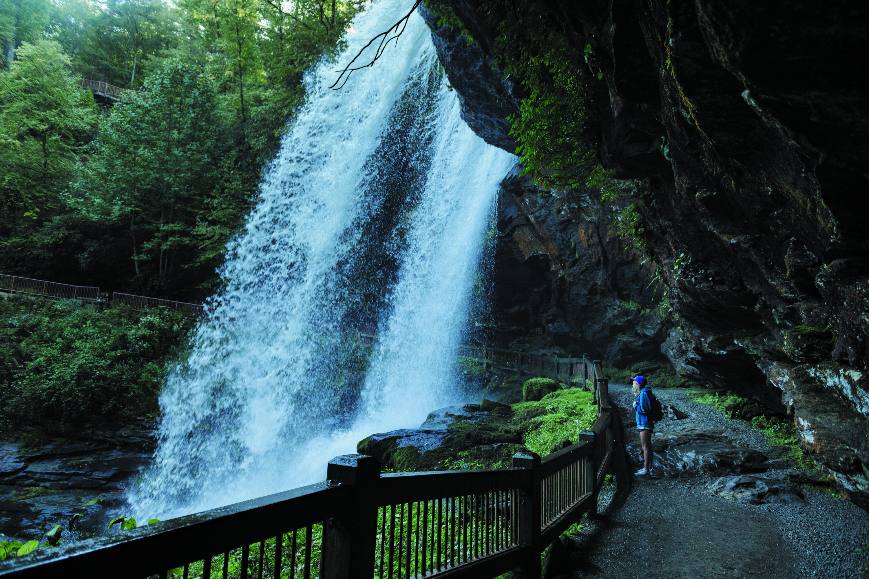 For Real, Visit North Carolina